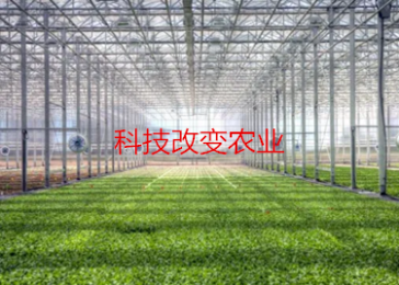 科技改變農業，揭秘智慧農業的奧秘？