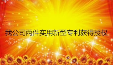 我公司兩件實用新型專利獲得授權
